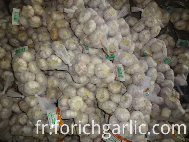 2019 Normal White Garlic